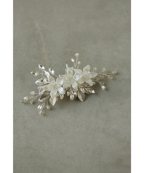 {"color":"\u30b7\u30eb\u30d0\u30fc","info":""}