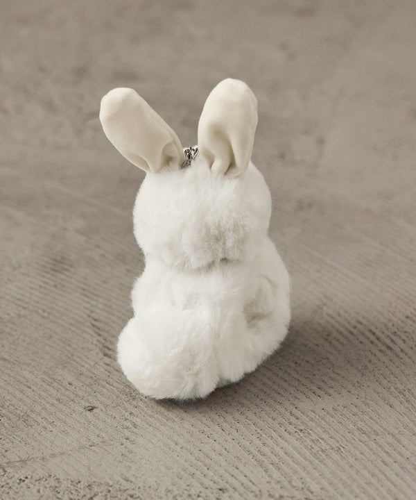 {"color":"\u30a2\u30a4\u30dc\u30ea\u30fc","info":""}