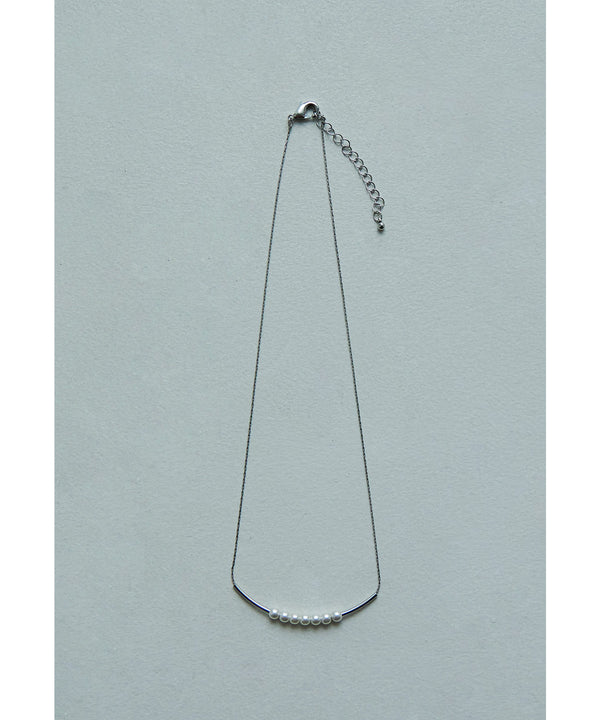 {"color":"\u30b7\u30eb\u30d0\u30fc","info":""}