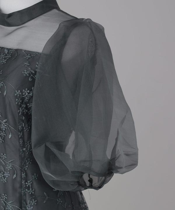 {"color":"","info":""}