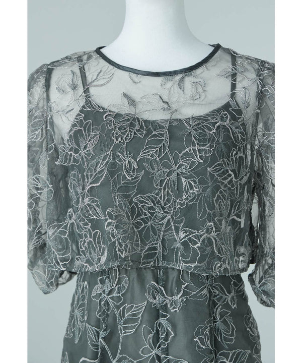 {"color":"","info":""}