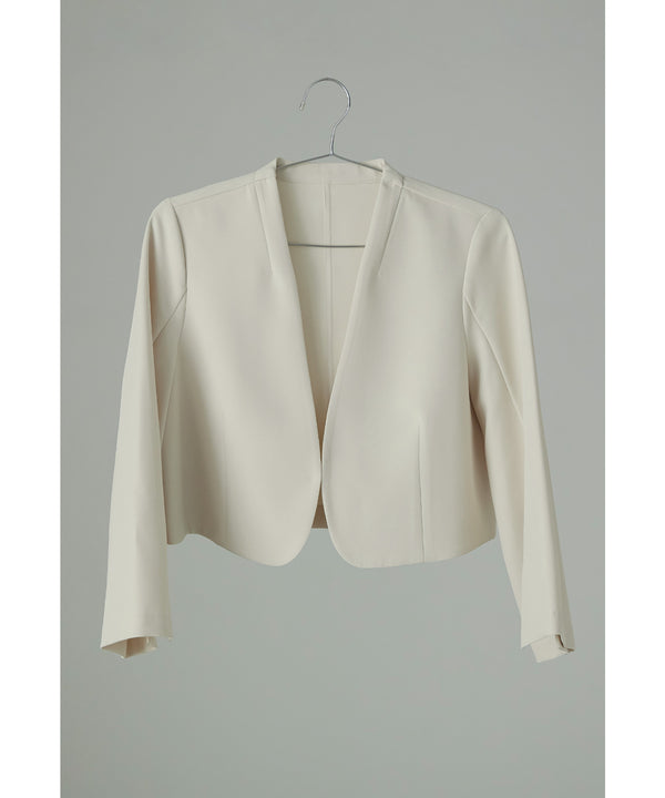 {"color":"\u30a2\u30a4\u30dc\u30ea\u30fc","info":""}