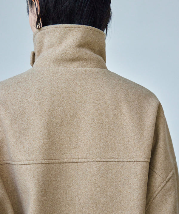 {"color":"","info":""}