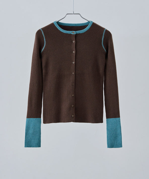 {"color":"\u30d6\u30e9\u30a6\u30f3","info":""}