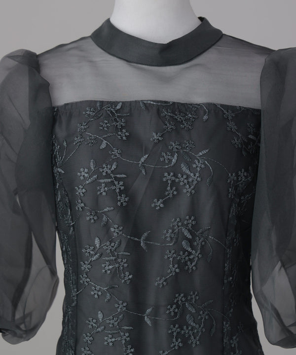 {"color":"","info":""}