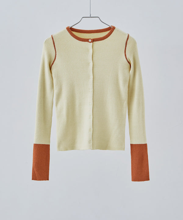 {"color":"\u30a2\u30a4\u30dc\u30ea\u30fc","info":""}