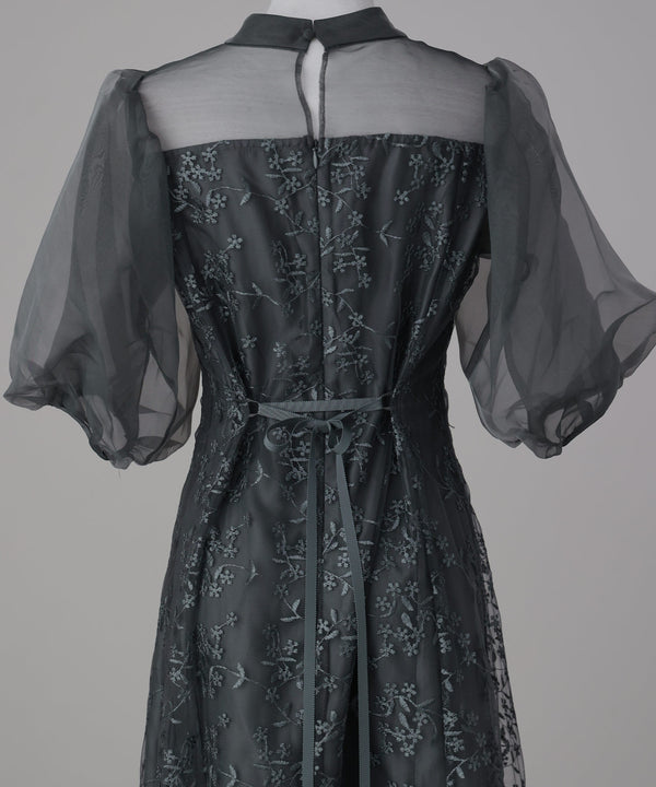 {"color":"","info":""}