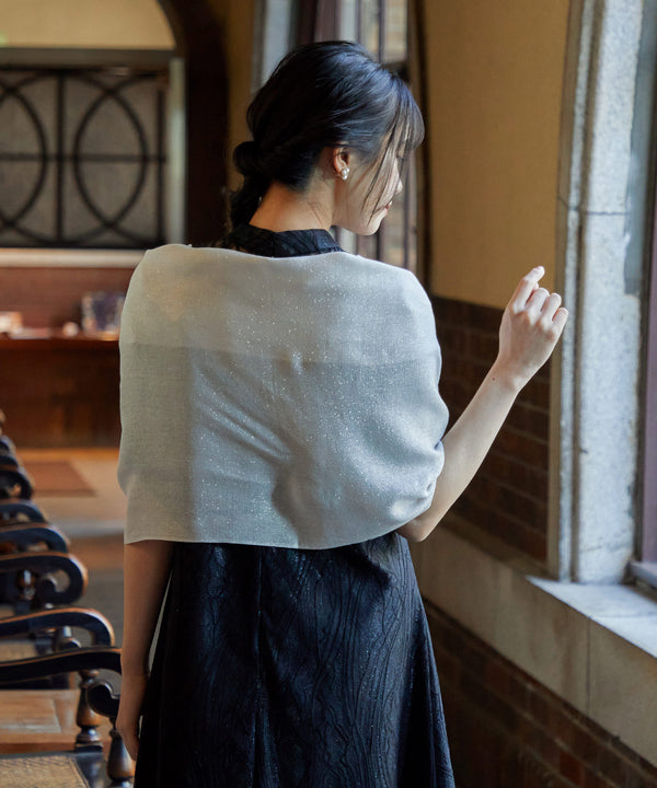 {"color":"\u30b7\u30eb\u30d0\u30fc","info":""}