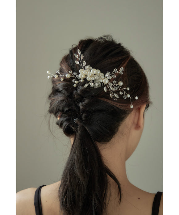 {"color":"\u30b7\u30eb\u30d0\u30fc","info":""}