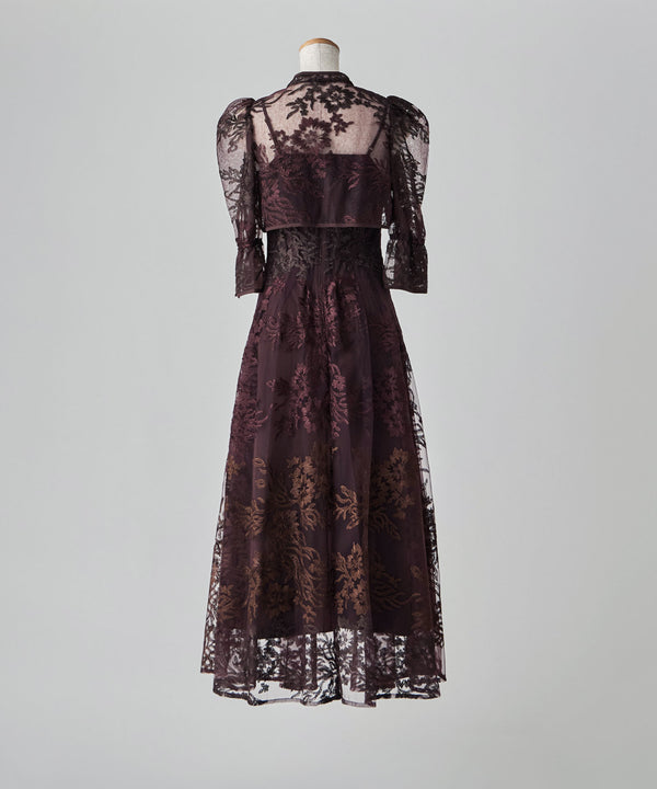 {"color":"","info":""}