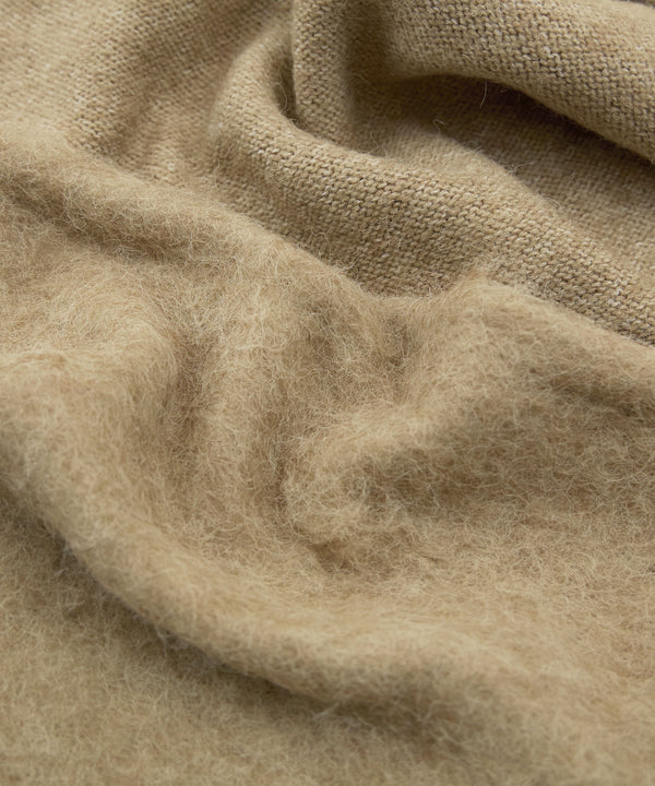 {"color":"","info":""}