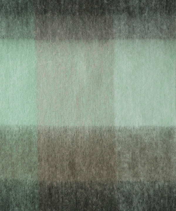 {"color":"\u30b0\u30ea\u30fc\u30f3","info":""}