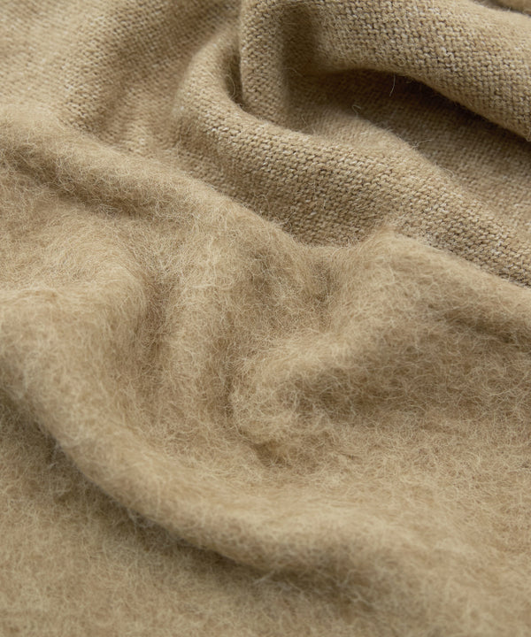 {"color":"","info":""}