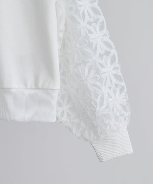 {"color":"","info":""}