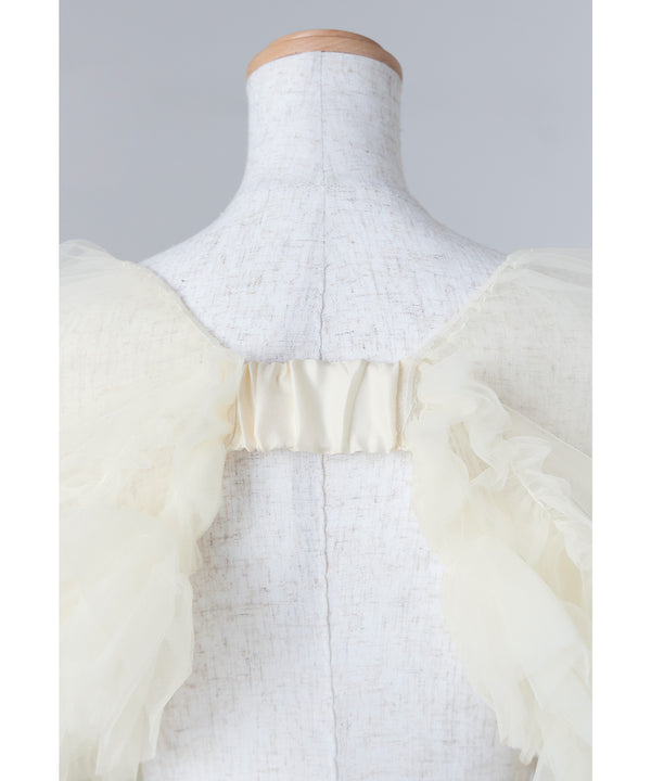 {"color":"","info":""}