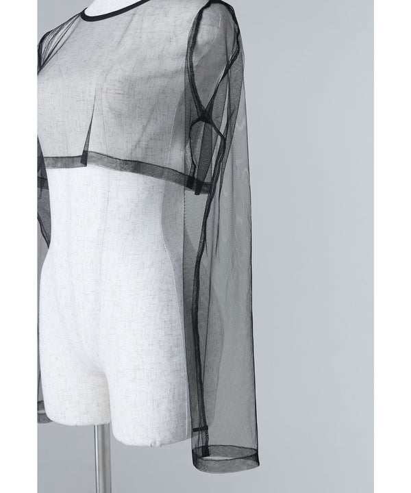 {"color":"","info":""}