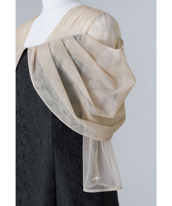 {"color":"","info":""}