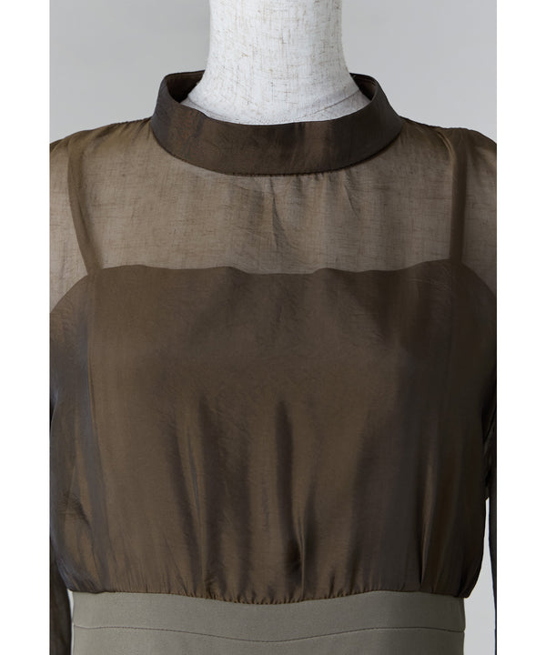 {"color":"","info":""}