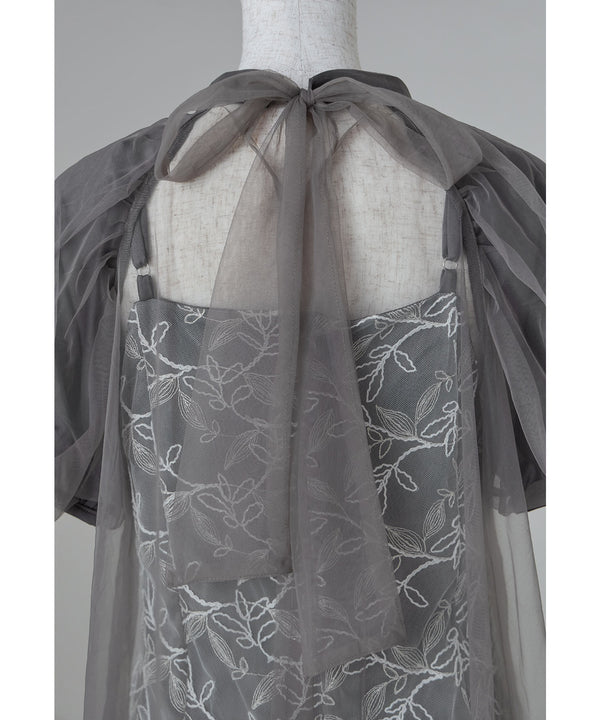 {"color":"","info":""}