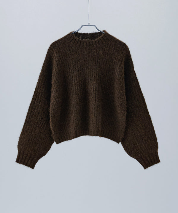 {"color":"\u30d6\u30e9\u30a6\u30f3","info":""}