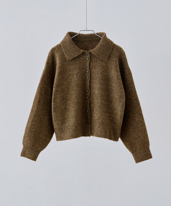 {"color":"\u30d6\u30e9\u30a6\u30f3","info":""}