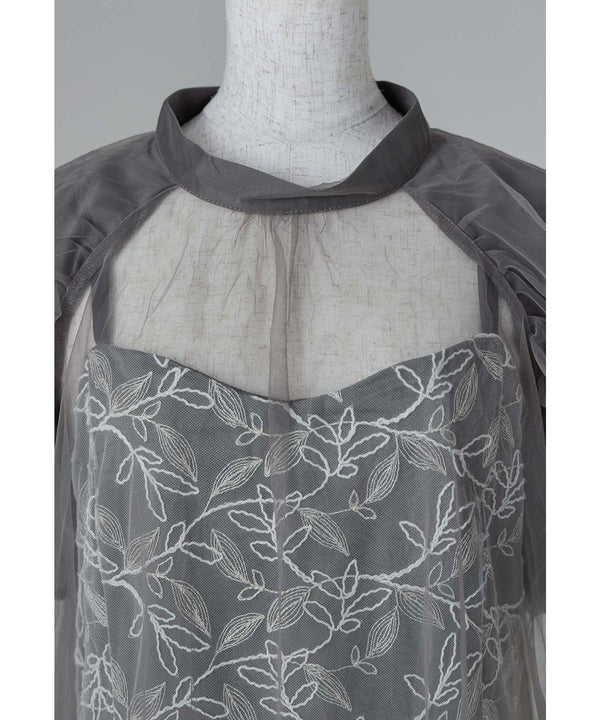 {"color":"","info":""}