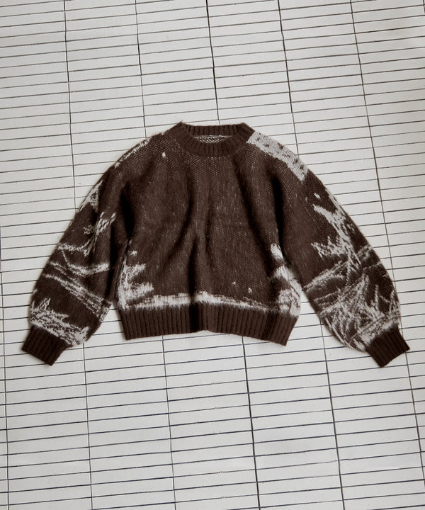 {"color":"\u30d6\u30e9\u30a6\u30f3","info":""}