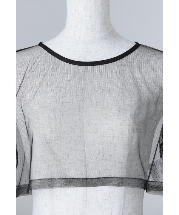 {"color":"","info":""}