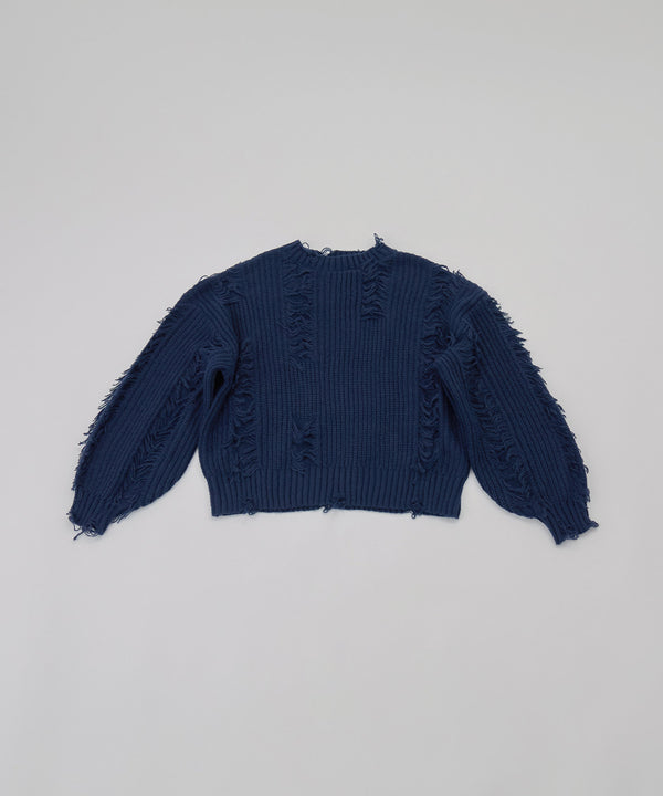 {"color":"\u30cd\u30a4\u30d3\u30fc","info":""}