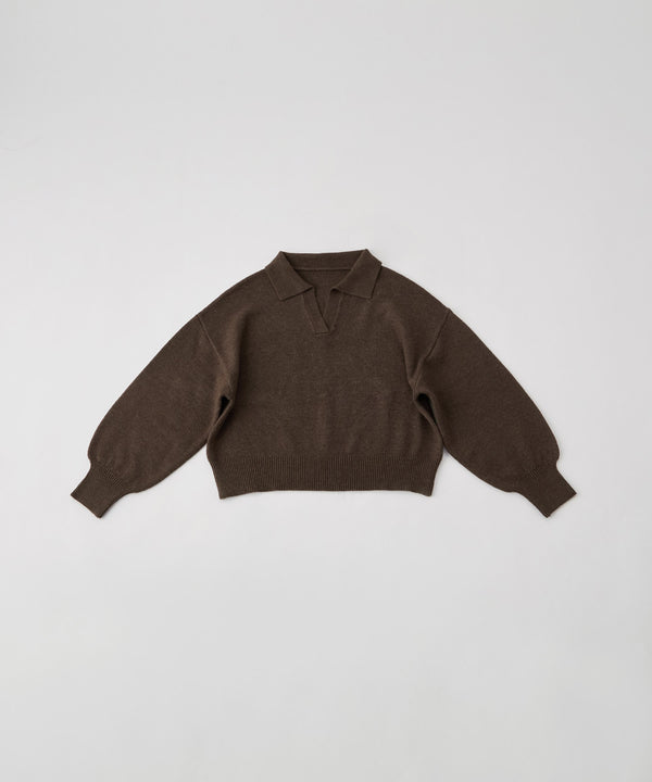 {"color":"\u30d6\u30e9\u30a6\u30f3","info":""}