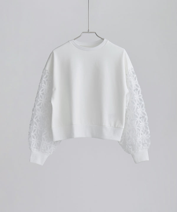 {"color":"\u30aa\u30d5\u30db\u30ef\u30a4\u30c8","info":""}