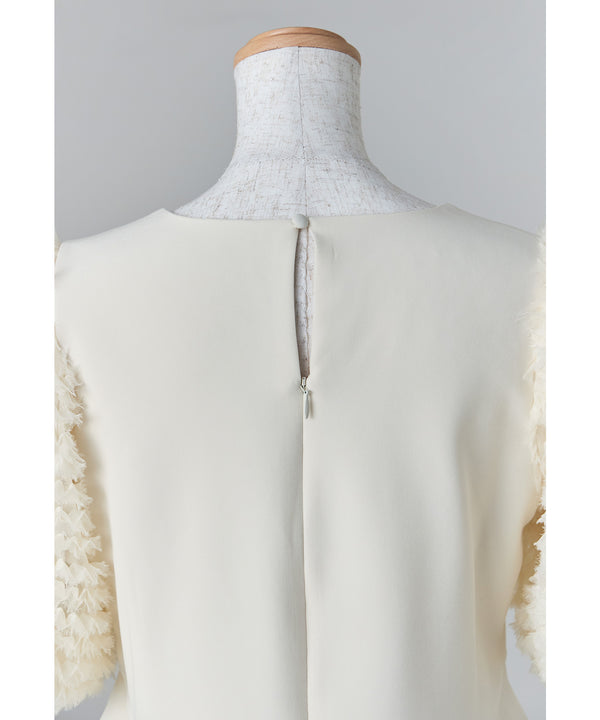 {"color":"","info":""}