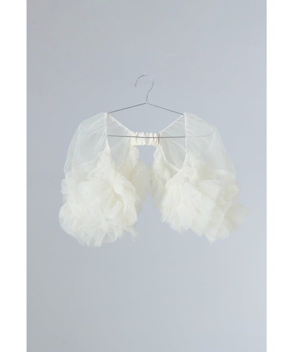 {"color":"\u30a2\u30a4\u30dc\u30ea\u30fc","info":""}