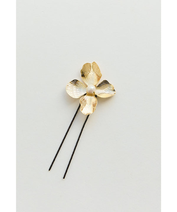 {"color":"","info":""}