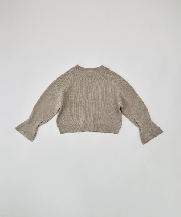 {"color":"","info":""}