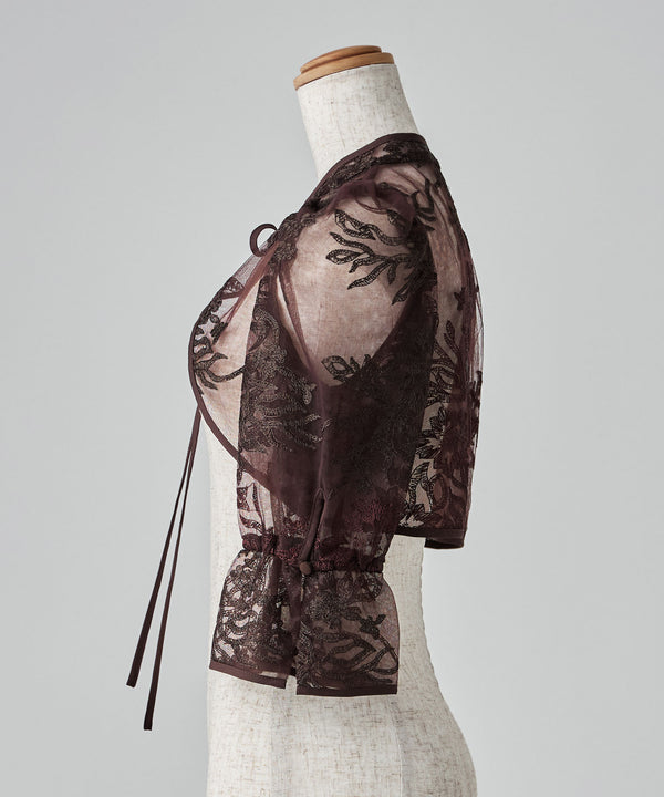 {"color":"","info":""}