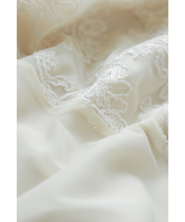 {"color":"","info":""}