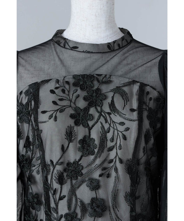 {"color":"","info":""}