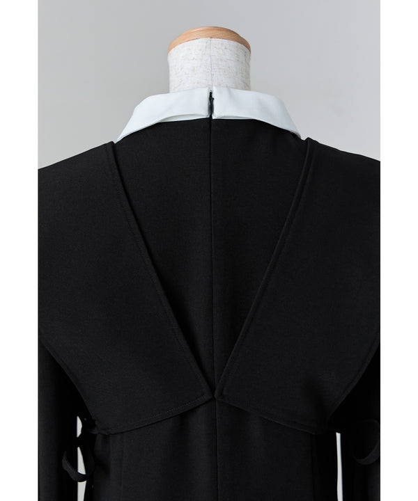 {"color":"","info":""}