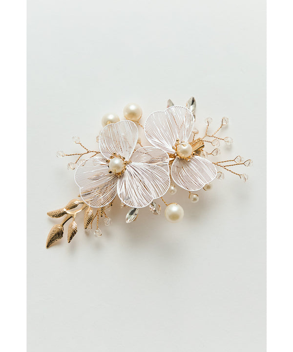 {"color":"","info":""}