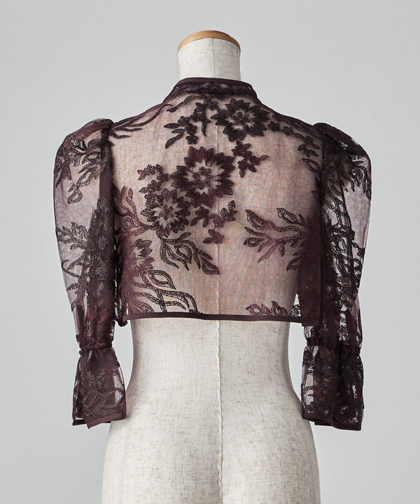 {"color":"","info":""}