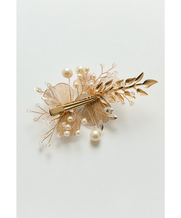 {"color":"","info":""}