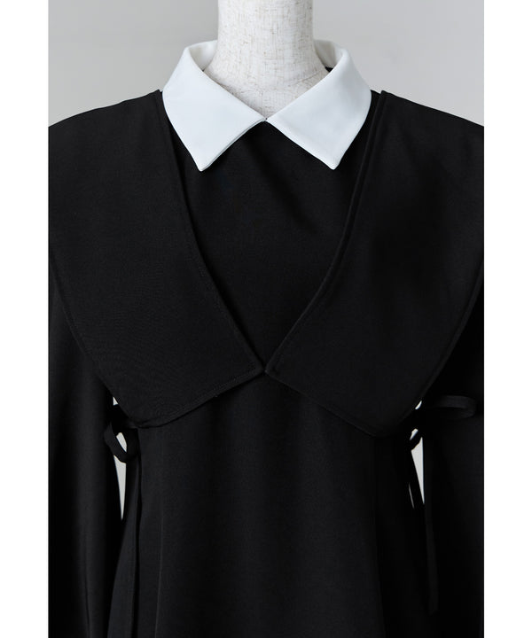 {"color":"","info":""}