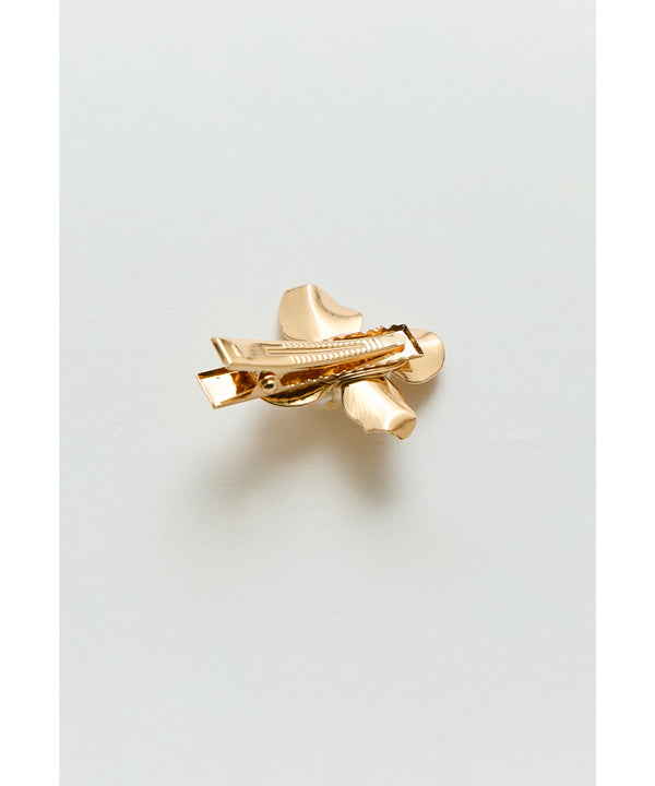 {"color":"","info":""}