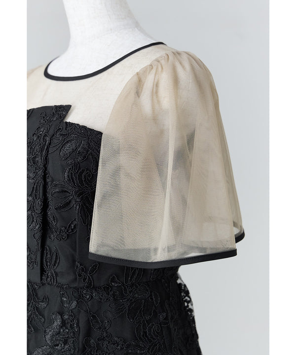 {"color":"","info":""}