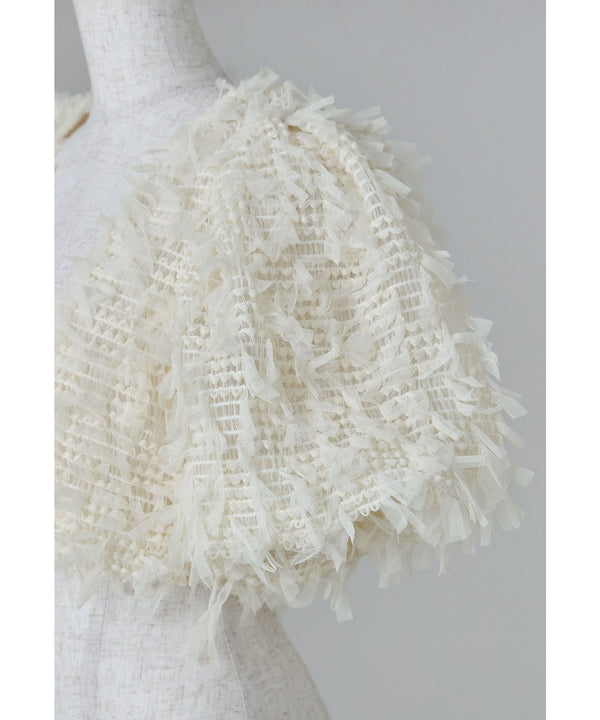 {"color":"","info":""}