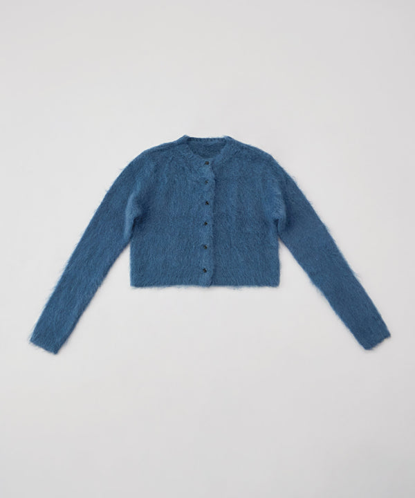 {"color":"\u30d6\u30eb\u30fc","info":""}