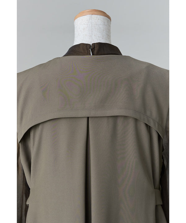 {"color":"","info":""}