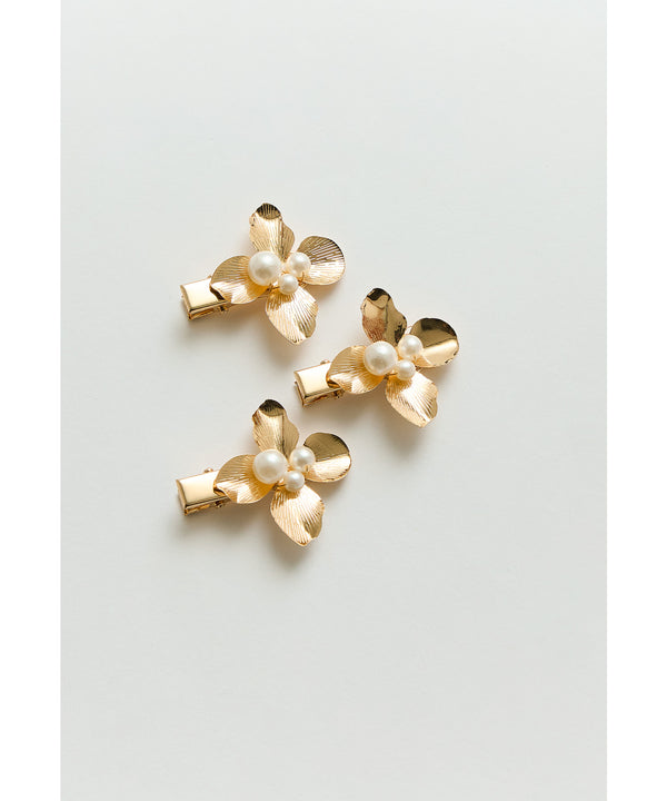 {"color":"","info":""}