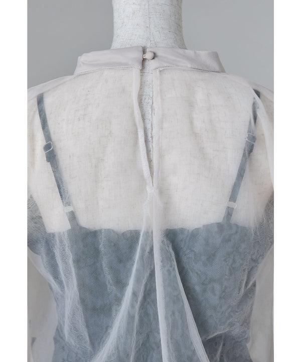 {"color":"","info":""}